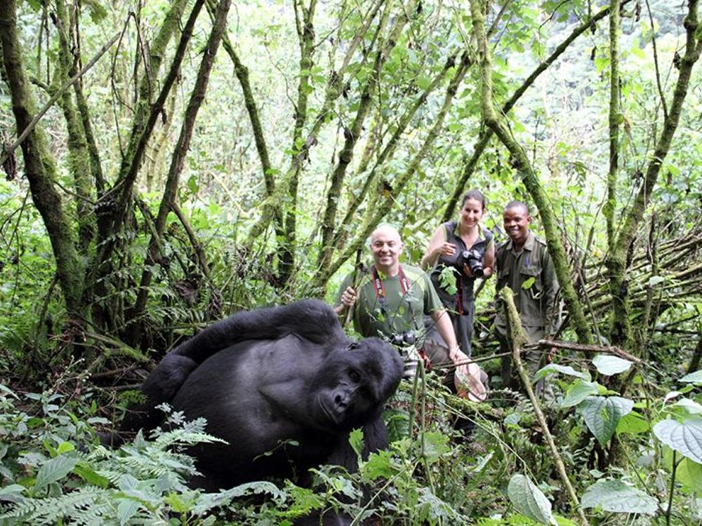 Uganda Wildlife Authority